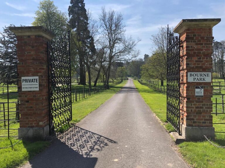 About Bournepark Bournepark Gundogs