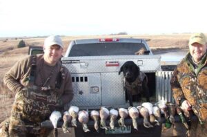 Buy part trained gundogs